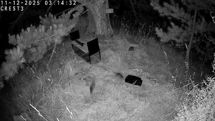 vlcsnap-2026-01-26-12h49m34s615