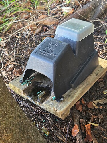 Bait station 5