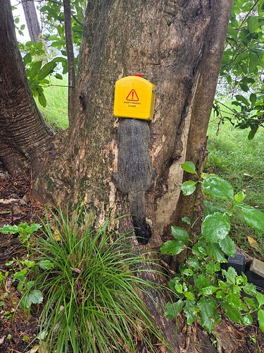 SC possum catch 2026