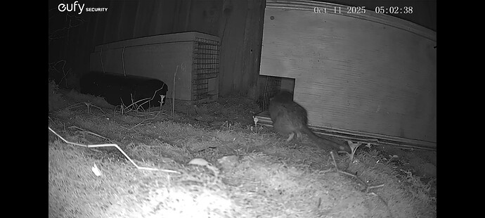 Screenshot_20251011_122927_Gallery