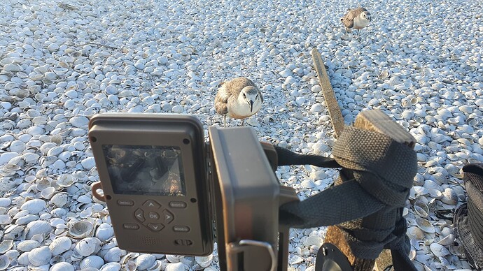 475847370_1041778754650508_5952029681455079504_n