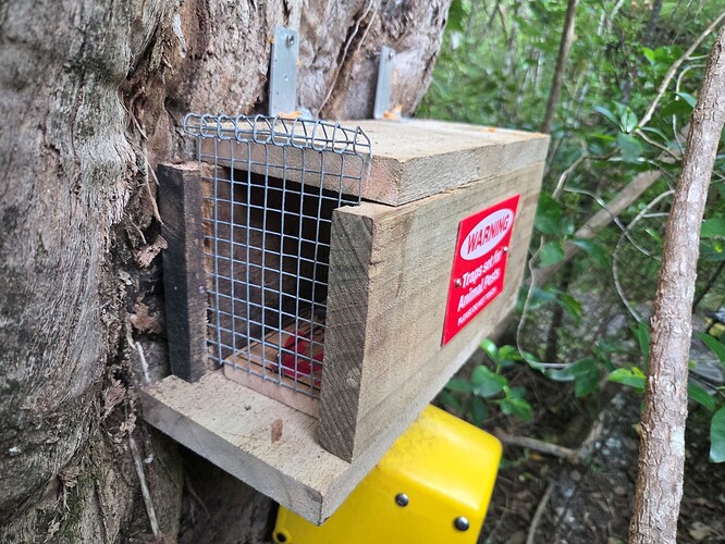 Trap on tree above FT 5