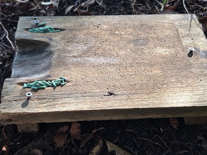 Bait station 3
